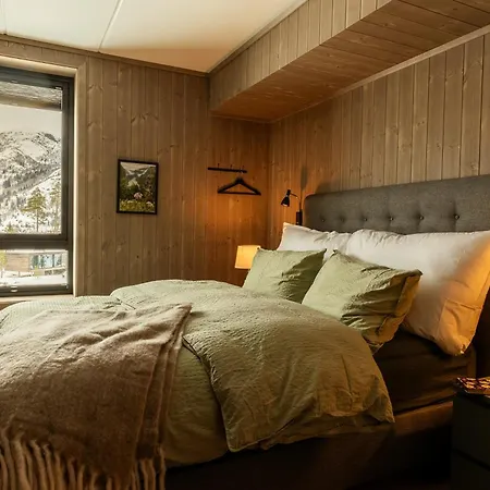 Vister, - Fine Rett Ved Fyri - - Out Hemsedal