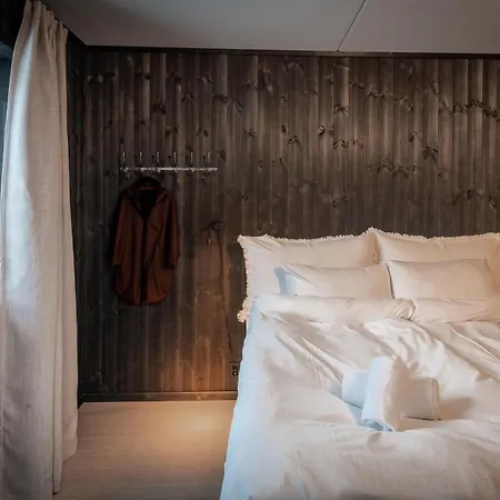 Vister, - Fine Rett Ved Fyri - - Out Hemsedal