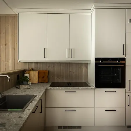 Vister, - Fine Rett Ved Fyri - - Out * Hemsedal