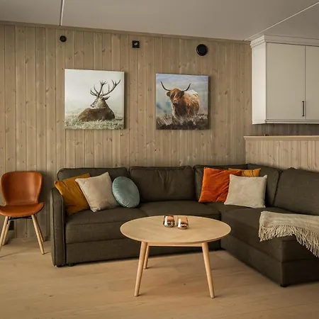 Vister, - Fine Rett Ved Fyri - - Out Hemsedal