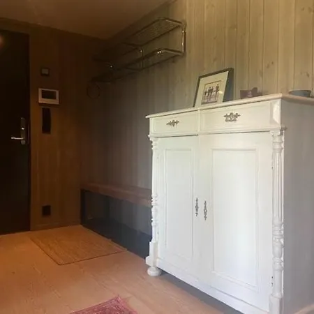 Vister, - Fine Rett Ved Fyri - - Out *