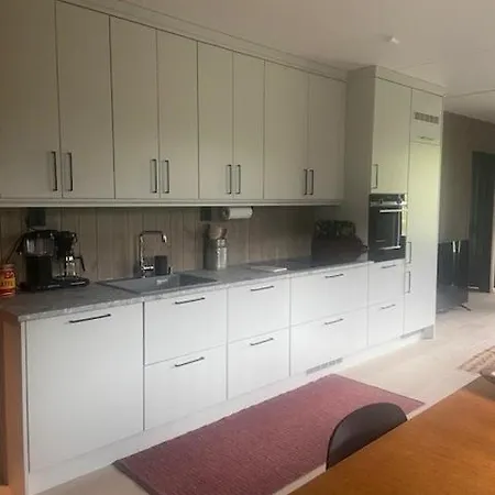 Vister, - Fine Rett Ved Fyri - - Out *