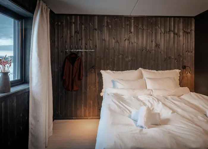 Vister, - Fine Rett Ved Fyri - - Out Hemsedal