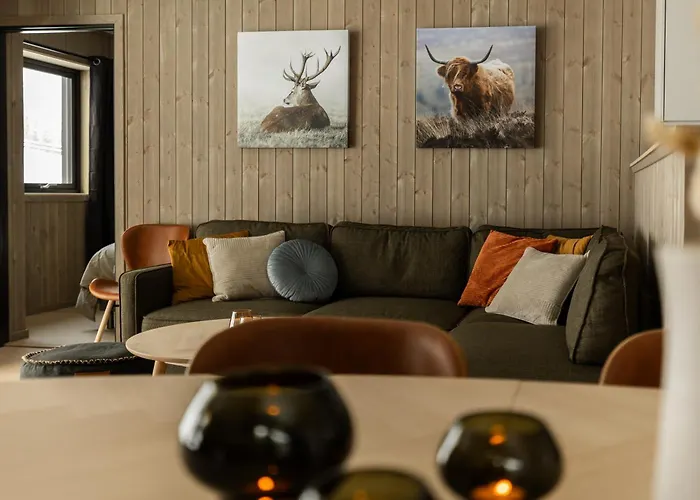 Vister, - Fine Rett Ved Fyri - - Out Hemsedal