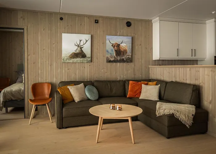 Vister, - Fine Rett Ved Fyri - - Out Hemsedal