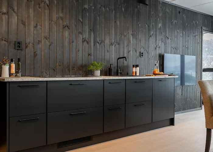 Vister, - Fine Rett Ved Fyri - - Out Hemsedal